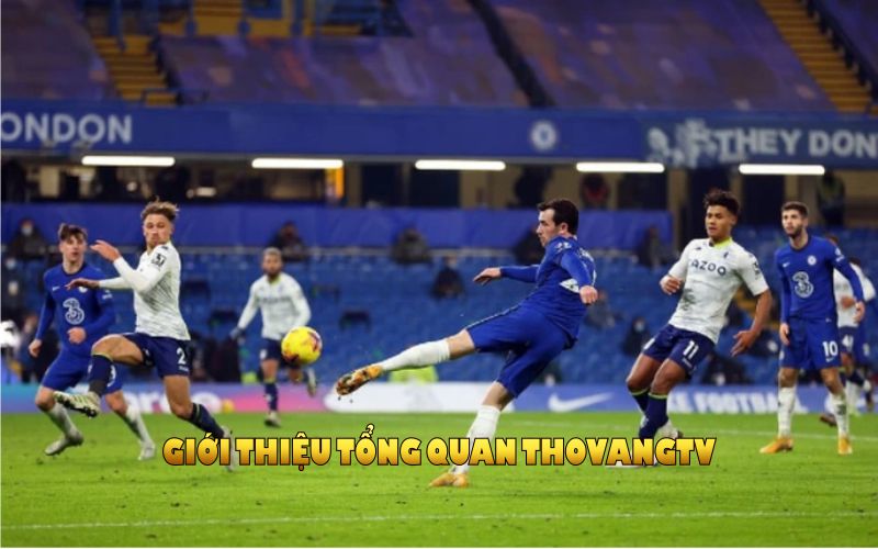 Giới thiệu tổng quan ThoVangTV với những thông tin thú vị